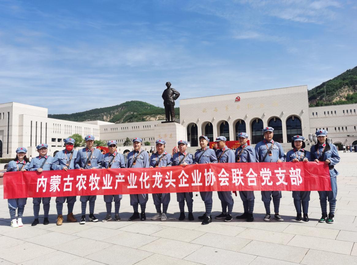 內(nèi)蒙古農(nóng)牧業(yè)產(chǎn)業(yè)化龍頭企業(yè)協(xié)會(huì)聯(lián)合黨支部赴延安革命圣地開展“學(xué)黨史、感黨恩、跟黨走”主題黨日活動(dòng)